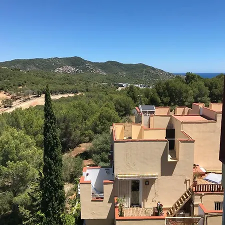 Buenavista